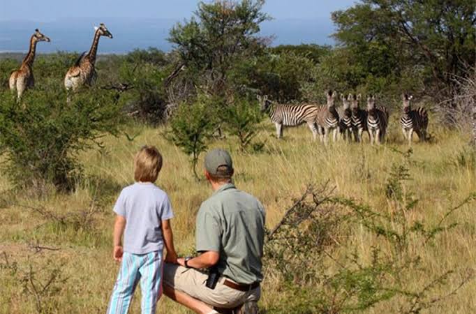 Akagera National Park